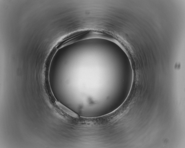 X0000090980580200708091459