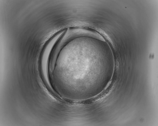 X0000090980581200708091459