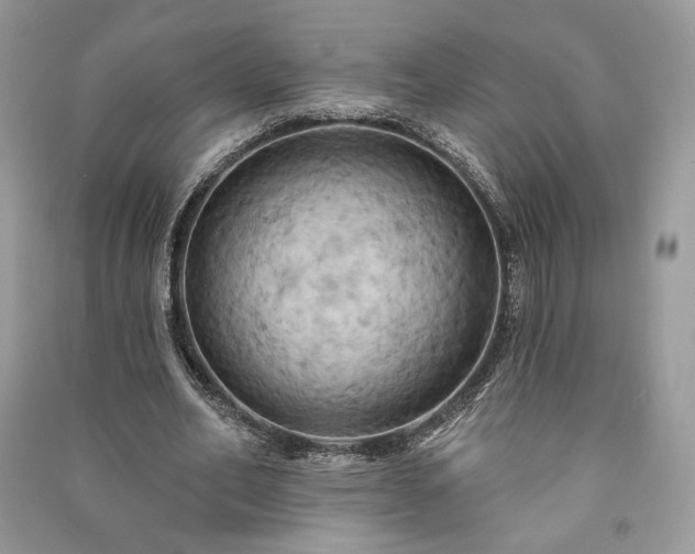 X0000090980582200708091459