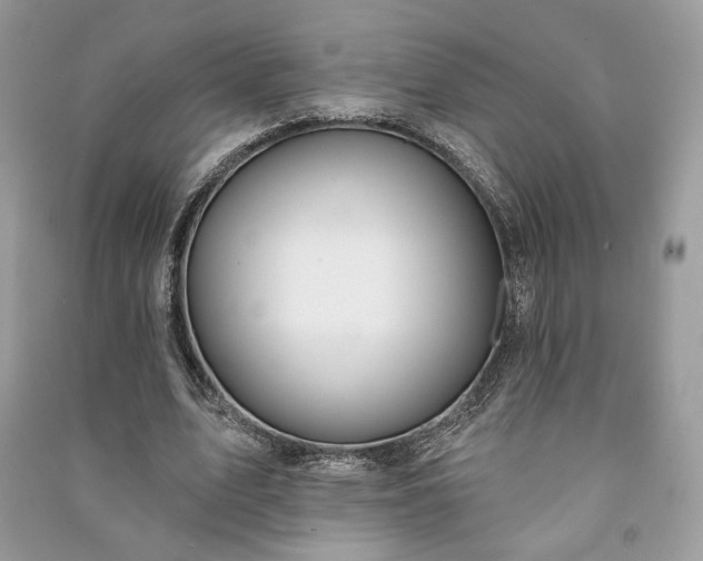 X0000090980583200708091459