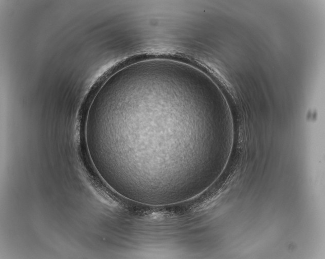 X0000090980584200708091459