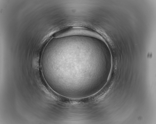 X0000090980585200708091459