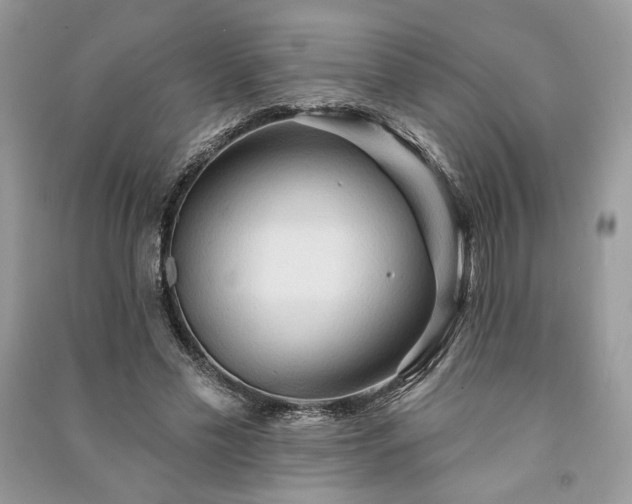 X0000090980589200708091459