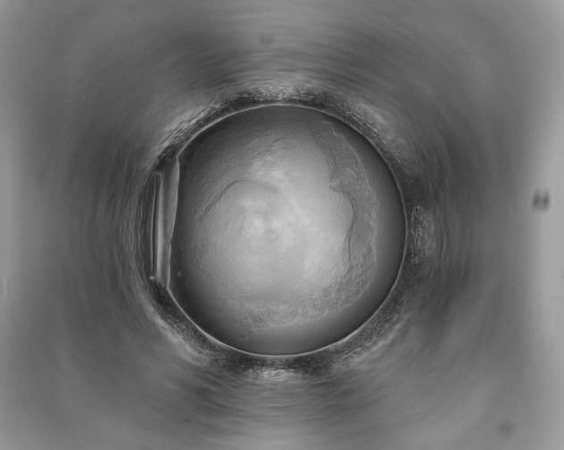 X0000090980590200708091459
