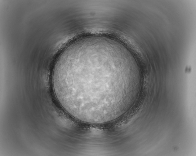 X0000090980592200708091459