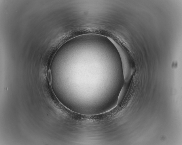X0000090980593200708091459