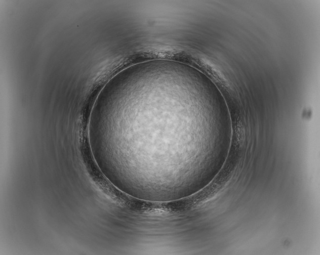 X0000090980594200708091459