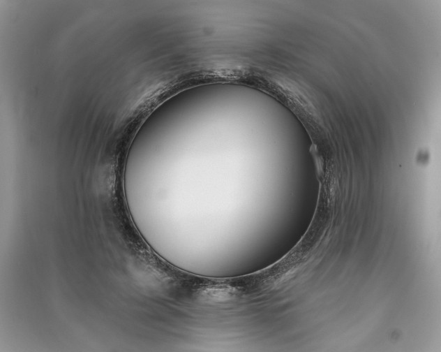 X0000090980595200708091459