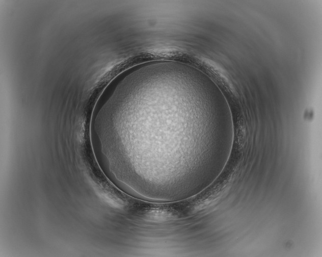 X0000090980596200708091459