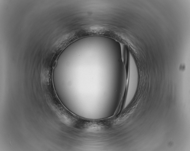 X0000090980597200708091459