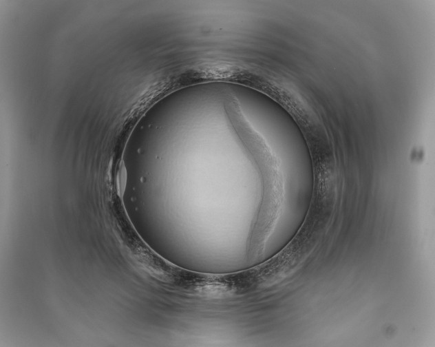 X0000090980598200708091459