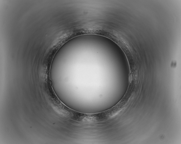 X0000090980599200708091459