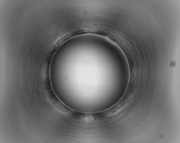 X0000090980600200708091459