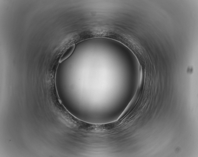 X0000090980601200708091459