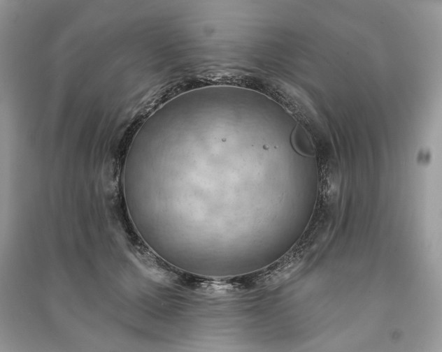 X0000090980607200708091459