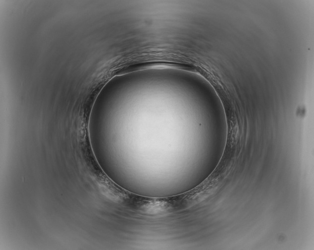 X0000090980609200708091459