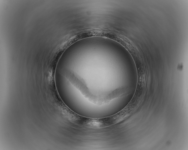 X0000090980610200708091459