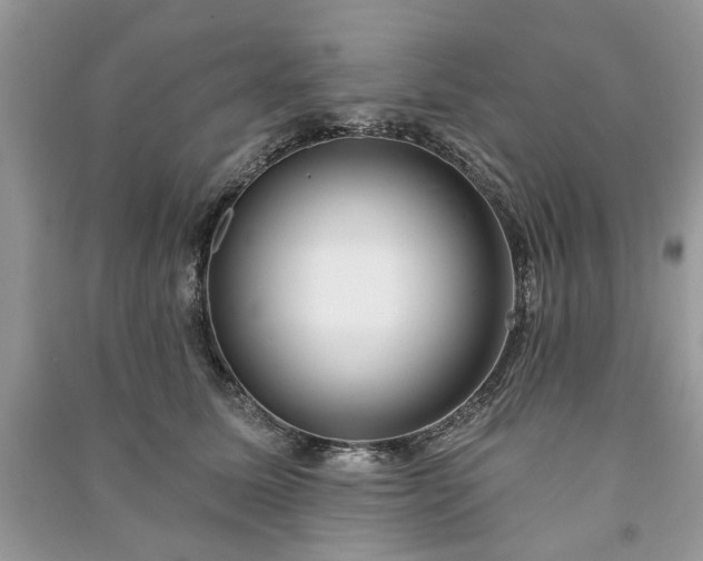 X0000090980611200708091459