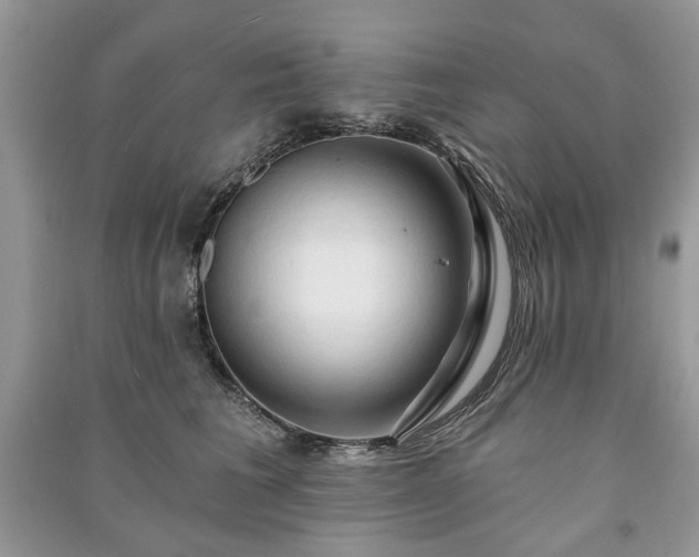 X0000090980613200708091459
