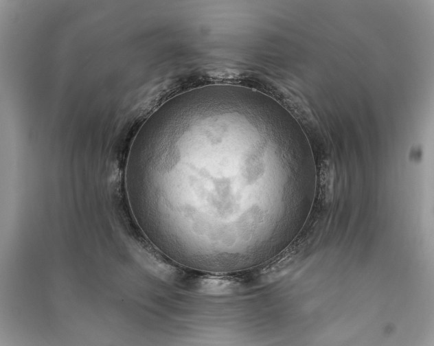 X0000090980614200708091459
