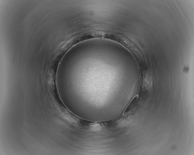 X0000090980616200708091459