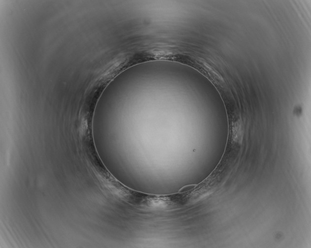 X0000090980618200708091459