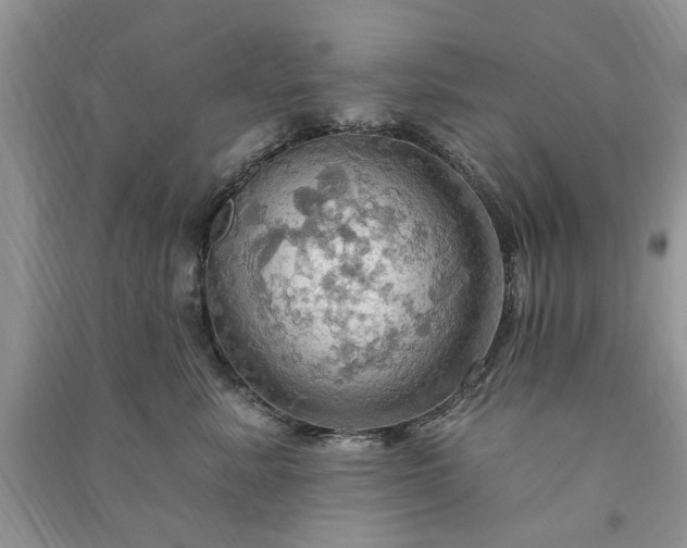 X0000090980619200708091459