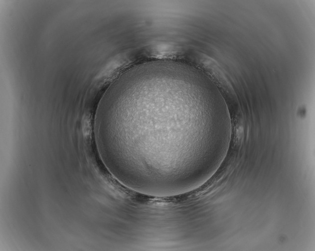 X0000090980620200708091459