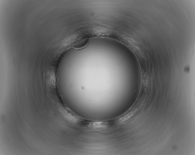 X0000090980622200708091459
