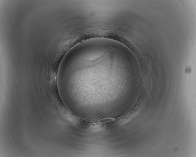 X0000090980624200708091459