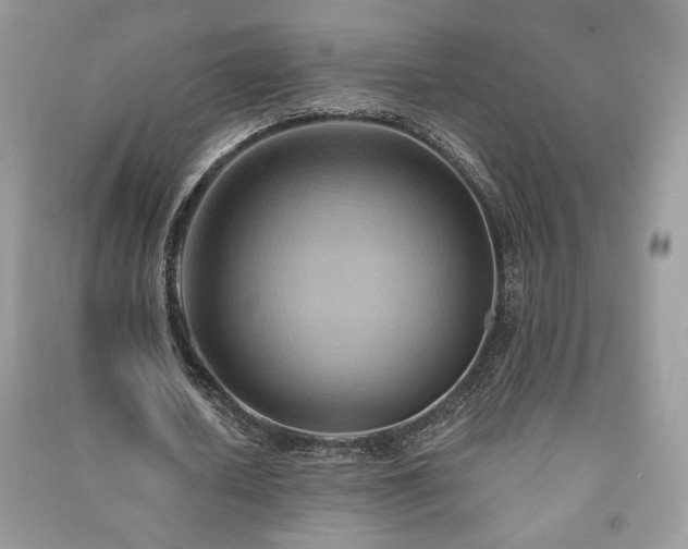 X0000090980626200708091458