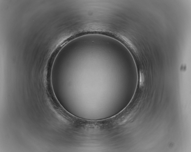 X0000090980627200708091458