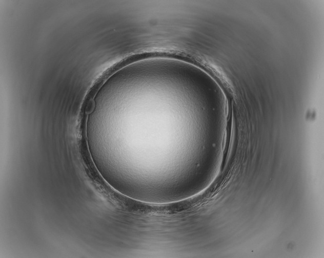 X0000090980628200708091458
