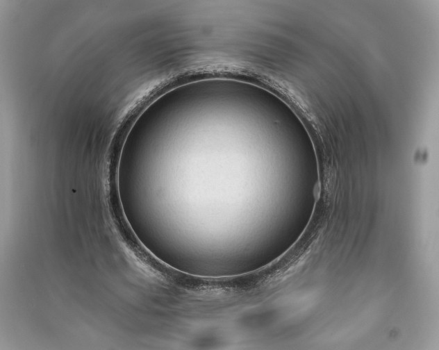 X0000090980629200708091458