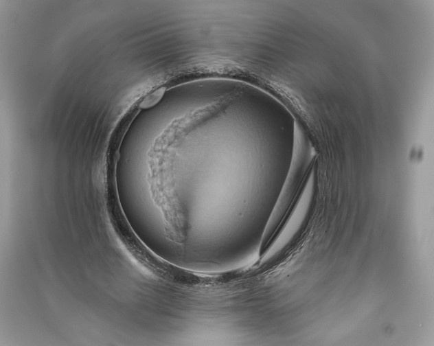X0000090980630200708091458