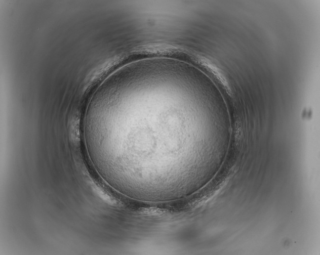 X0000090980633200708091458