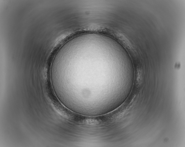 X0000090980636200708091458