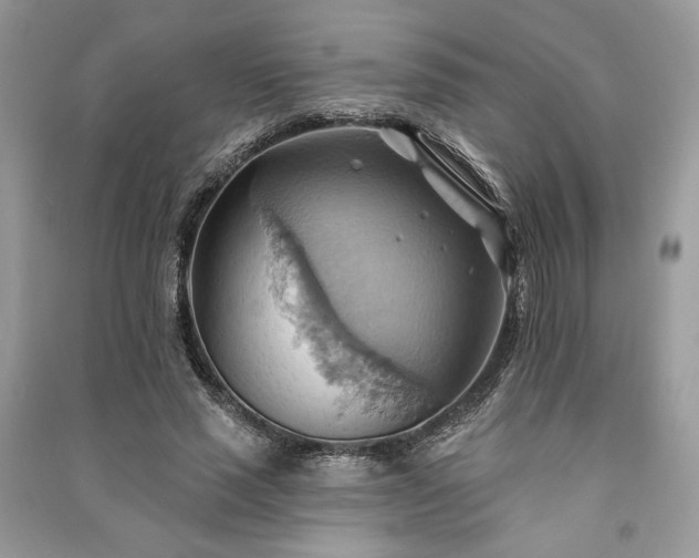 X0000090980637200708091458