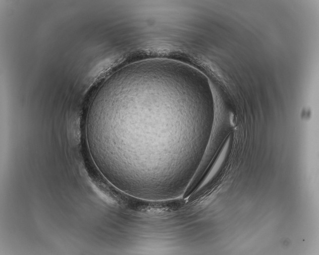 X0000090980638200708091458