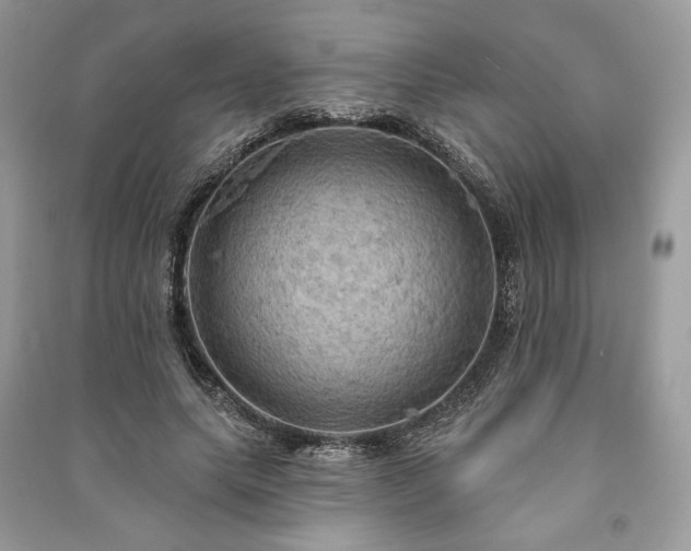 X0000090980639200708091458