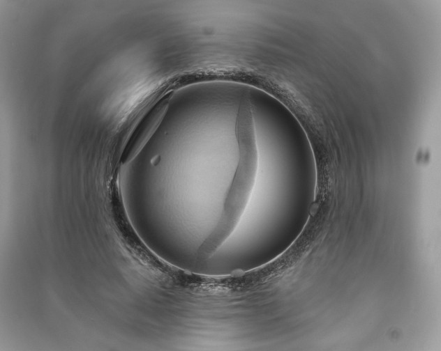 X0000090980640200708091458