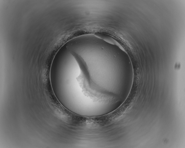 X0000090980641200708091458