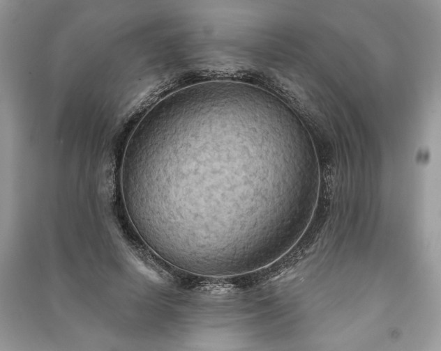 X0000090980642200708091458