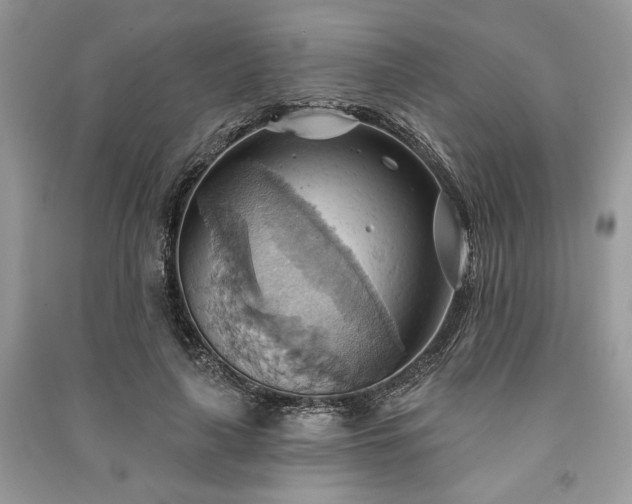 X0000090980643200708091458