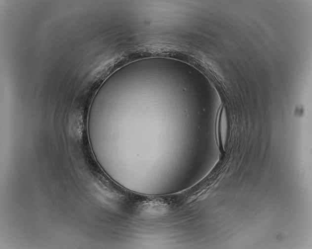 X0000090980644200708091458