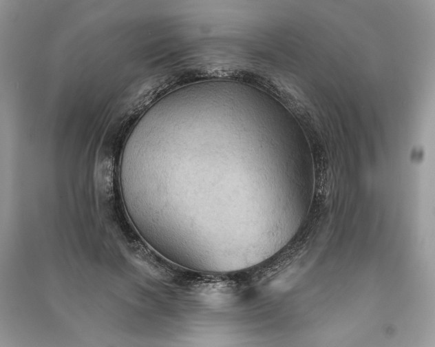 X0000090980646200708091458