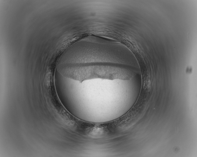 X0000090980647200708091458