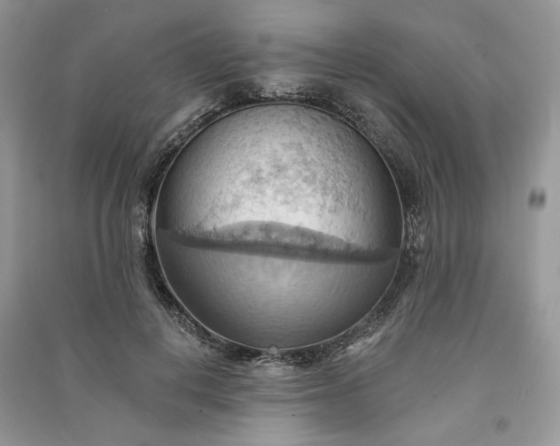 X0000090980648200708091458