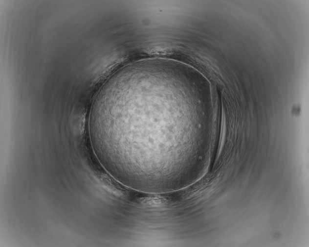X0000090980652200708091458