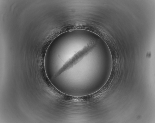 X0000090980654200708091458